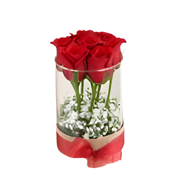 Yasvi Beautiful Red Roses In Vase