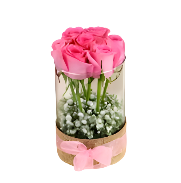 Yasvi Beautiful Pink Roses In Vase